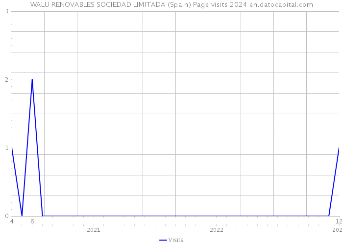 WALU RENOVABLES SOCIEDAD LIMITADA (Spain) Page visits 2024 