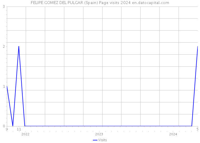 FELIPE GOMEZ DEL PULGAR (Spain) Page visits 2024 