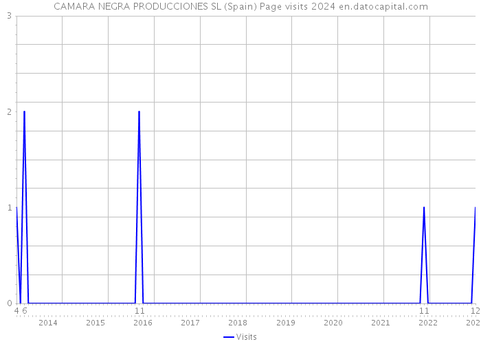 CAMARA NEGRA PRODUCCIONES SL (Spain) Page visits 2024 