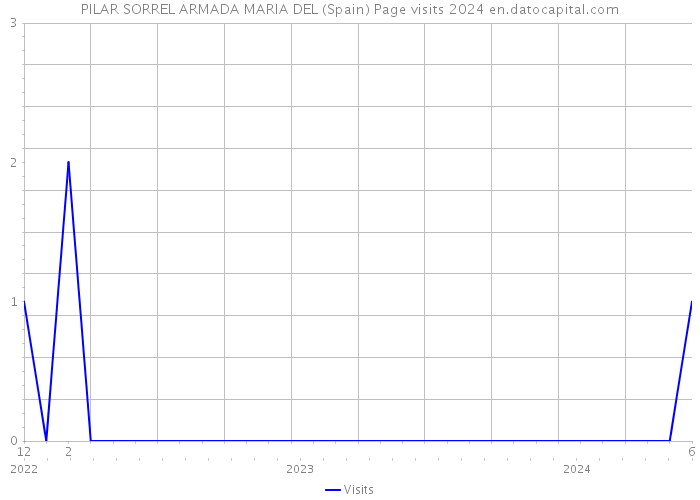 PILAR SORREL ARMADA MARIA DEL (Spain) Page visits 2024 
