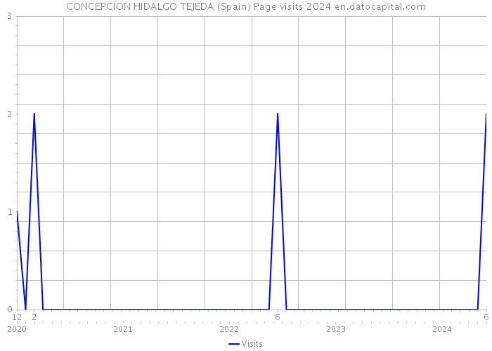 CONCEPCION HIDALGO TEJEDA (Spain) Page visits 2024 