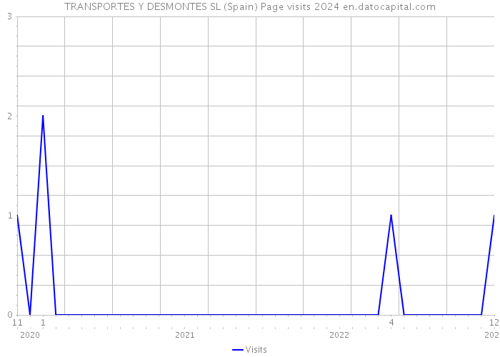 TRANSPORTES Y DESMONTES SL (Spain) Page visits 2024 