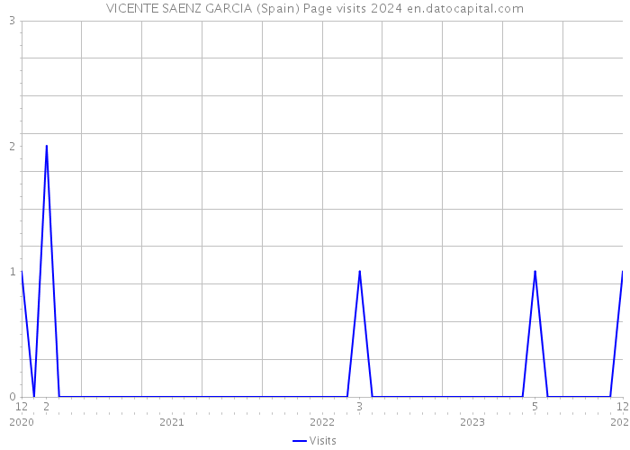 VICENTE SAENZ GARCIA (Spain) Page visits 2024 