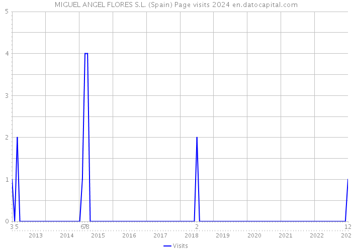 MIGUEL ANGEL FLORES S.L. (Spain) Page visits 2024 