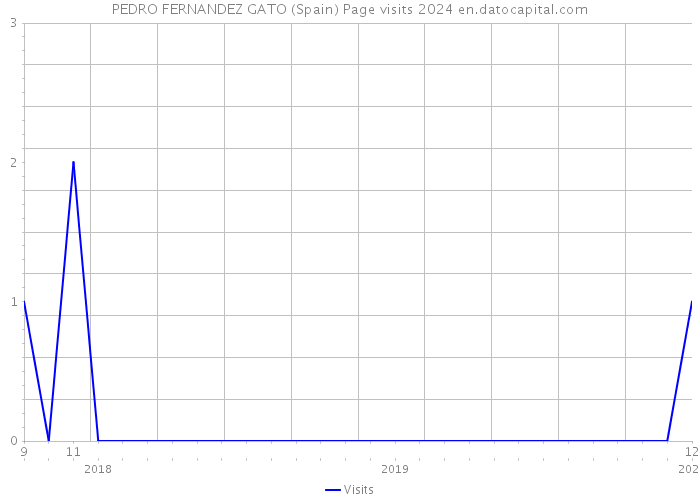 PEDRO FERNANDEZ GATO (Spain) Page visits 2024 