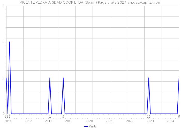 VICENTE PEDRAJA SDAD COOP LTDA (Spain) Page visits 2024 