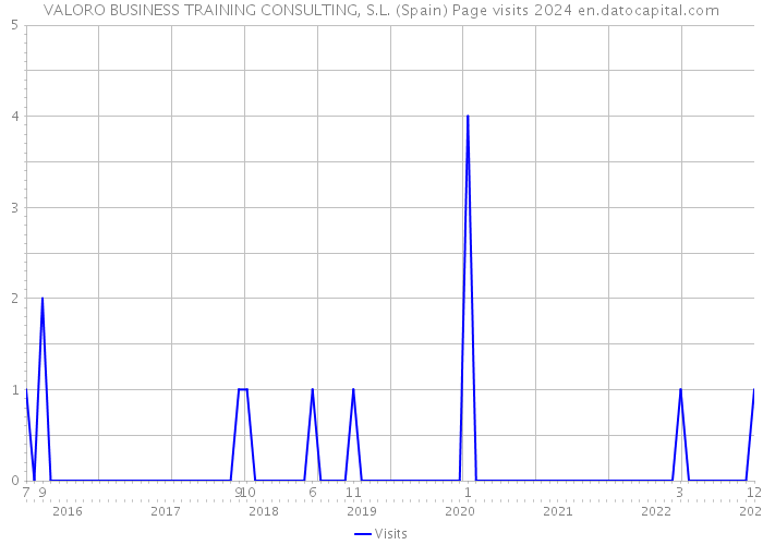 VALORO BUSINESS TRAINING CONSULTING, S.L. (Spain) Page visits 2024 