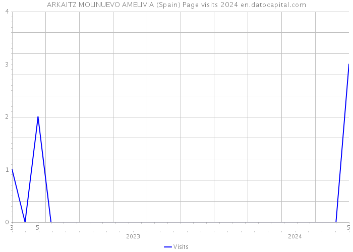ARKAITZ MOLINUEVO AMELIVIA (Spain) Page visits 2024 