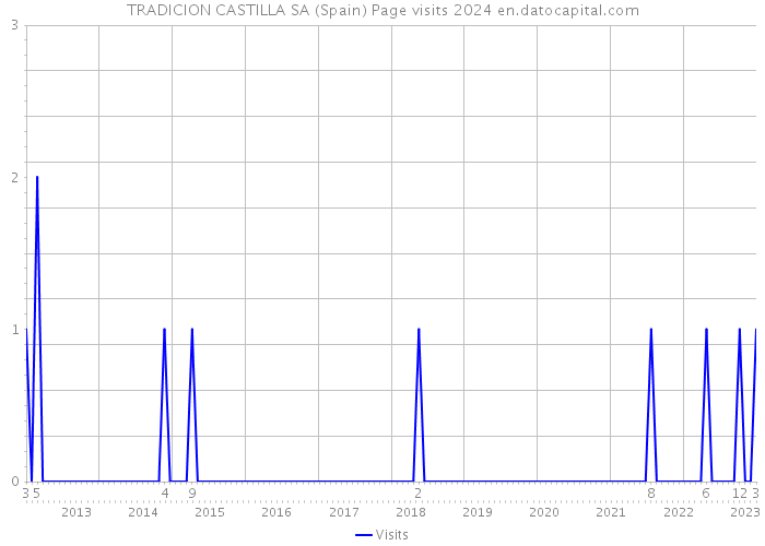 TRADICION CASTILLA SA (Spain) Page visits 2024 