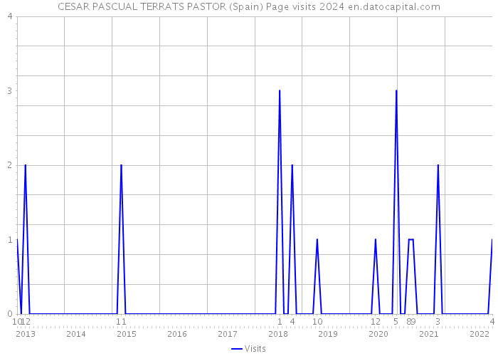 CESAR PASCUAL TERRATS PASTOR (Spain) Page visits 2024 