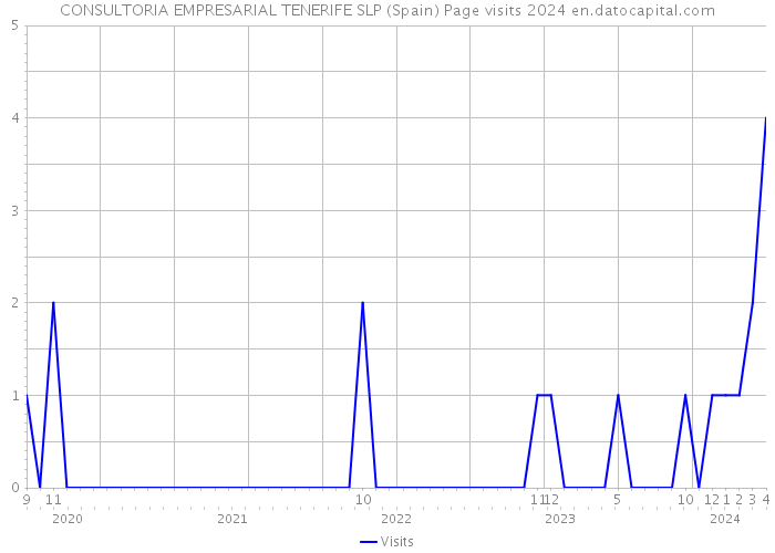 CONSULTORIA EMPRESARIAL TENERIFE SLP (Spain) Page visits 2024 