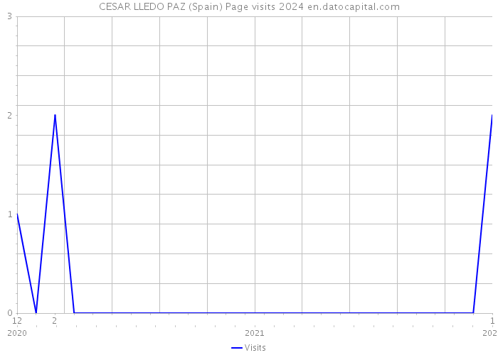 CESAR LLEDO PAZ (Spain) Page visits 2024 