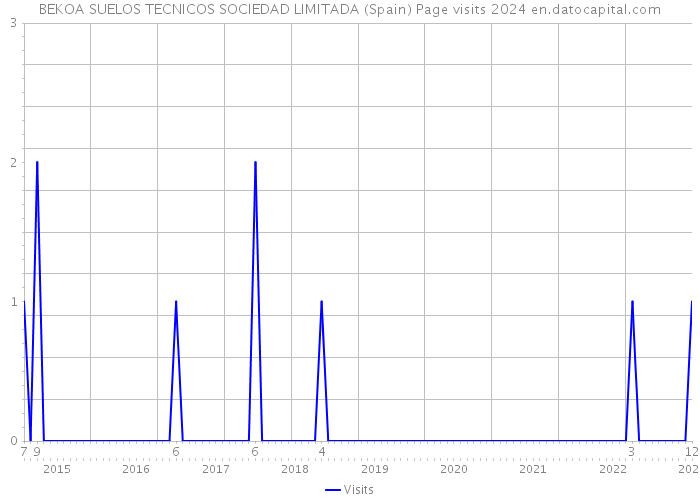 BEKOA SUELOS TECNICOS SOCIEDAD LIMITADA (Spain) Page visits 2024 