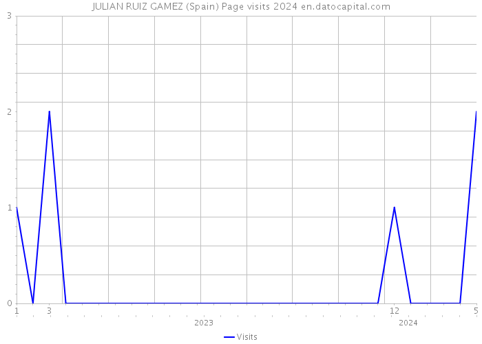JULIAN RUIZ GAMEZ (Spain) Page visits 2024 