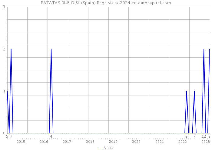 PATATAS RUBIO SL (Spain) Page visits 2024 