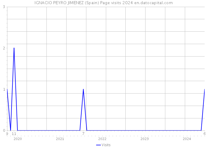 IGNACIO PEYRO JIMENEZ (Spain) Page visits 2024 