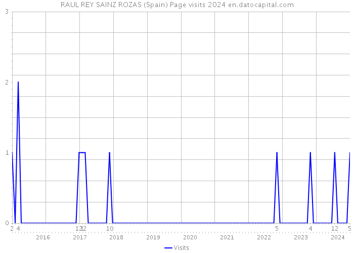 RAUL REY SAINZ ROZAS (Spain) Page visits 2024 