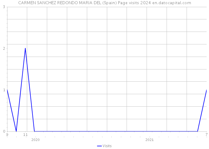 CARMEN SANCHEZ REDONDO MARIA DEL (Spain) Page visits 2024 