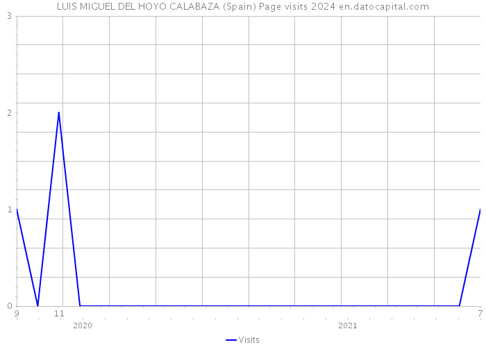 LUIS MIGUEL DEL HOYO CALABAZA (Spain) Page visits 2024 