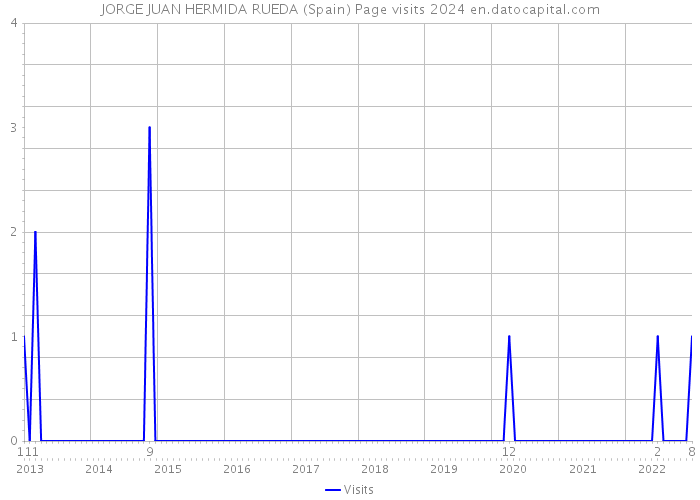 JORGE JUAN HERMIDA RUEDA (Spain) Page visits 2024 