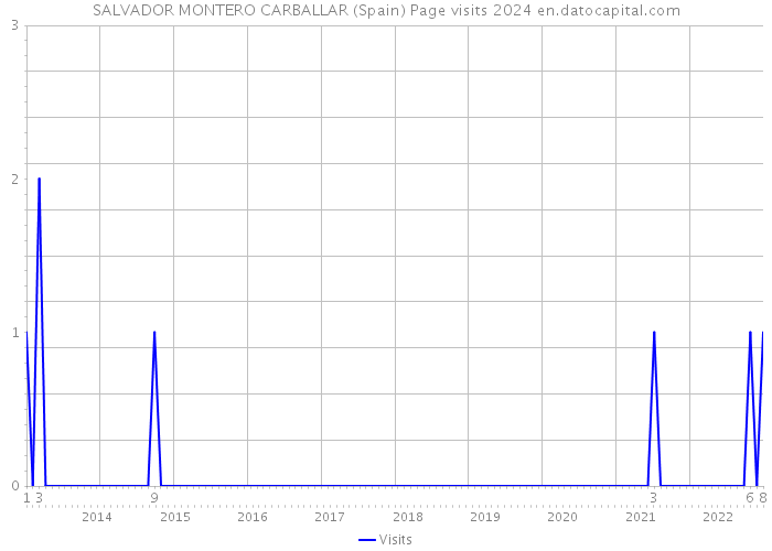 SALVADOR MONTERO CARBALLAR (Spain) Page visits 2024 