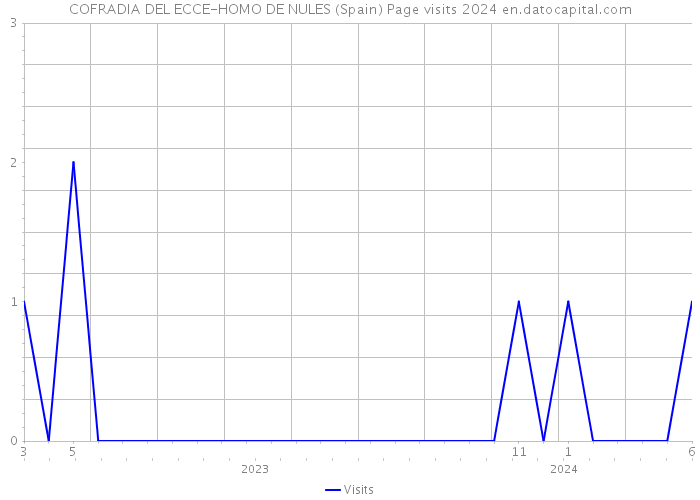 COFRADIA DEL ECCE-HOMO DE NULES (Spain) Page visits 2024 