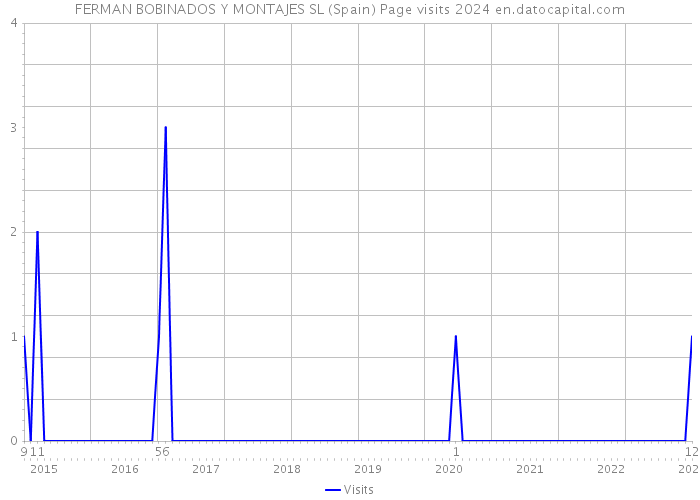 FERMAN BOBINADOS Y MONTAJES SL (Spain) Page visits 2024 