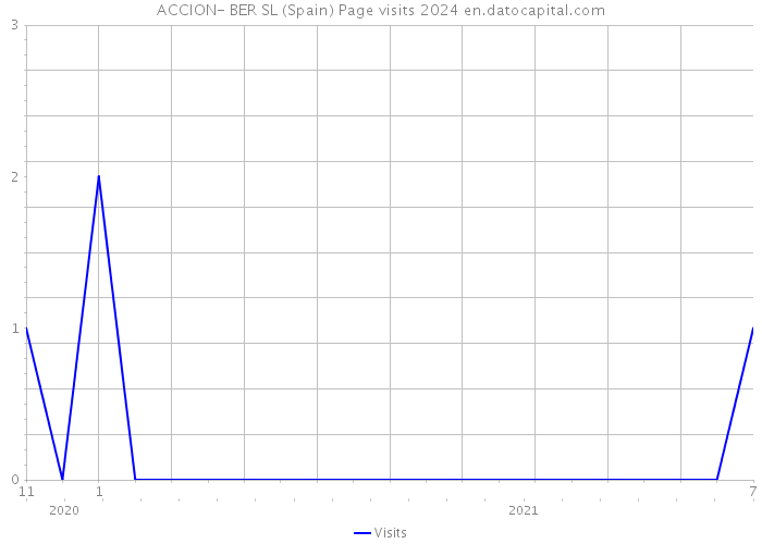 ACCION- BER SL (Spain) Page visits 2024 