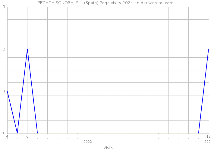 PEGADA SONORA, S.L. (Spain) Page visits 2024 