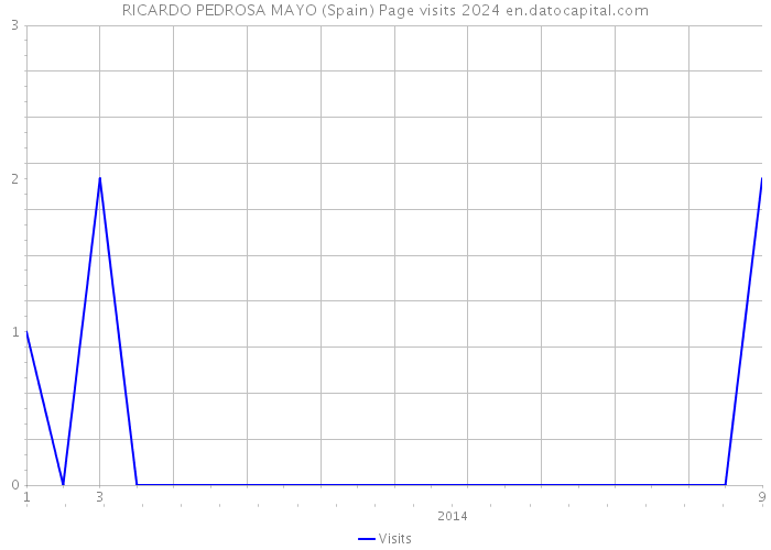 RICARDO PEDROSA MAYO (Spain) Page visits 2024 