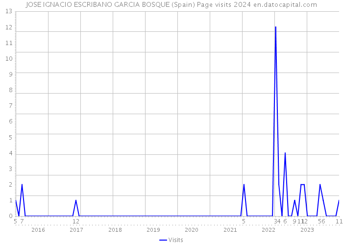 JOSE IGNACIO ESCRIBANO GARCIA BOSQUE (Spain) Page visits 2024 