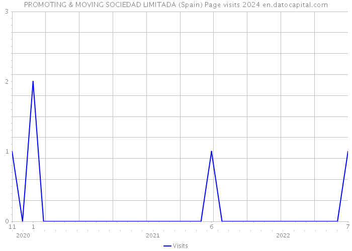 PROMOTING & MOVING SOCIEDAD LIMITADA (Spain) Page visits 2024 