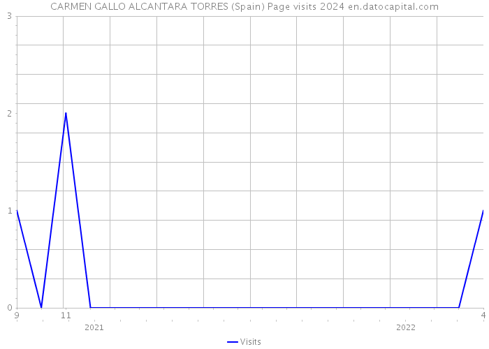 CARMEN GALLO ALCANTARA TORRES (Spain) Page visits 2024 