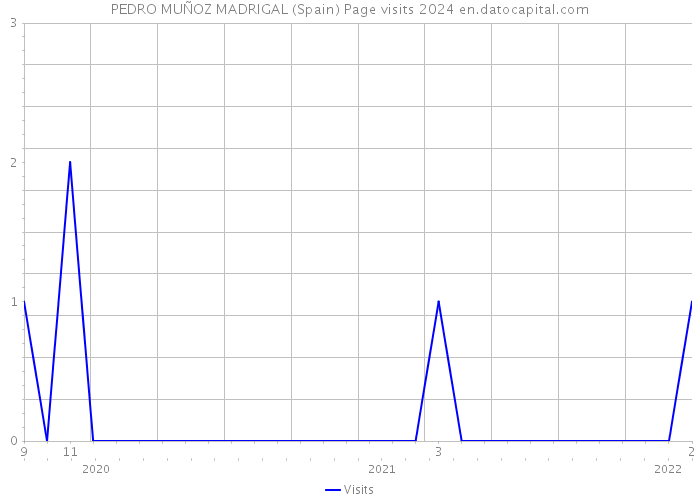 PEDRO MUÑOZ MADRIGAL (Spain) Page visits 2024 