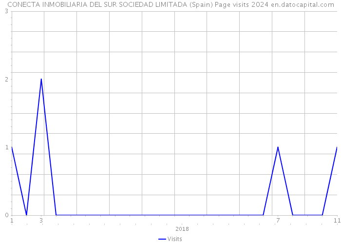 CONECTA INMOBILIARIA DEL SUR SOCIEDAD LIMITADA (Spain) Page visits 2024 