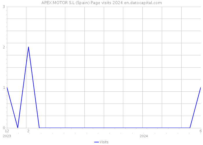 APEX MOTOR S.L (Spain) Page visits 2024 