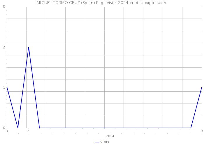 MIGUEL TORMO CRUZ (Spain) Page visits 2024 