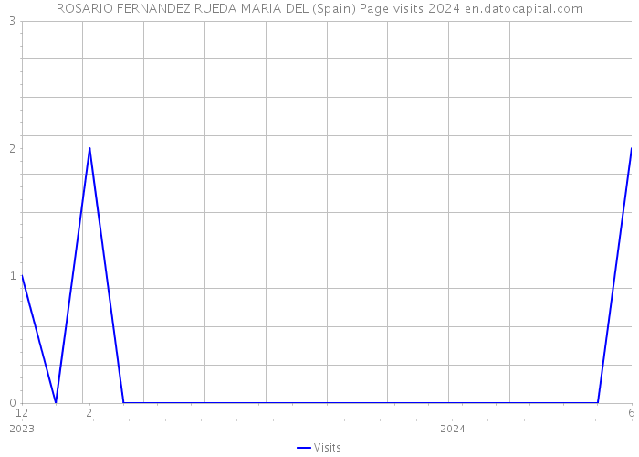 ROSARIO FERNANDEZ RUEDA MARIA DEL (Spain) Page visits 2024 