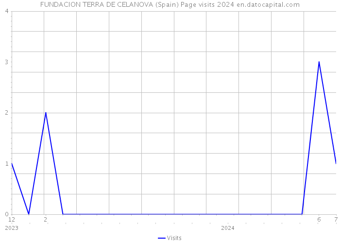 FUNDACION TERRA DE CELANOVA (Spain) Page visits 2024 