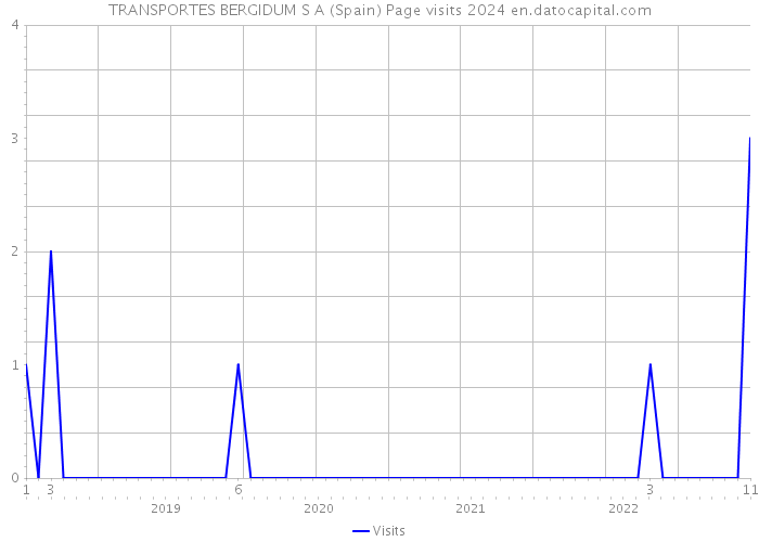 TRANSPORTES BERGIDUM S A (Spain) Page visits 2024 