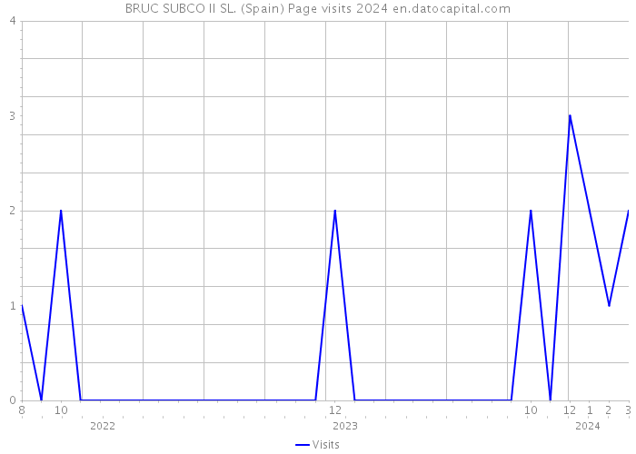 BRUC SUBCO II SL. (Spain) Page visits 2024 