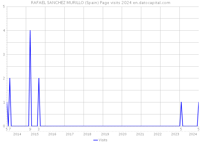 RAFAEL SANCHEZ MURILLO (Spain) Page visits 2024 