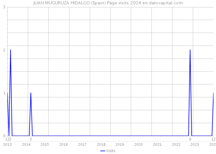 JUAN MUGURUZA HIDALGO (Spain) Page visits 2024 