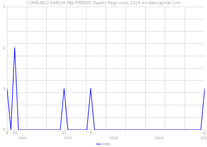 CONSUELO GARCIA DEL FRESNO (Spain) Page visits 2024 