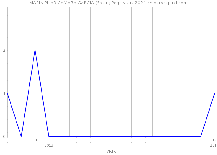 MARIA PILAR CAMARA GARCIA (Spain) Page visits 2024 