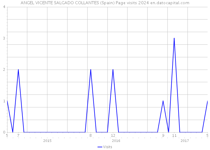 ANGEL VICENTE SALGADO COLLANTES (Spain) Page visits 2024 