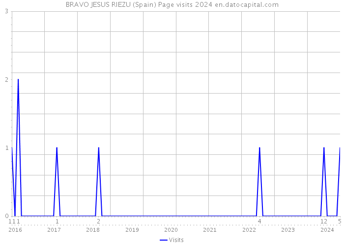 BRAVO JESUS RIEZU (Spain) Page visits 2024 