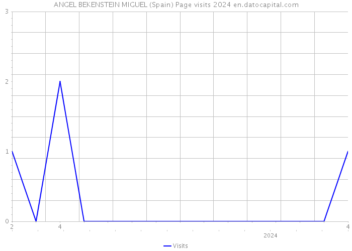 ANGEL BEKENSTEIN MIGUEL (Spain) Page visits 2024 