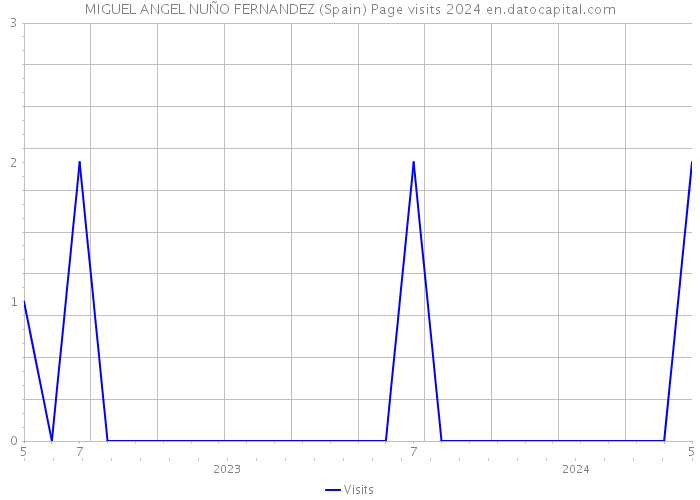 MIGUEL ANGEL NUÑO FERNANDEZ (Spain) Page visits 2024 