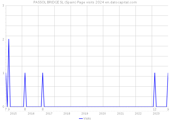 PASSOL BRIDGE SL (Spain) Page visits 2024 